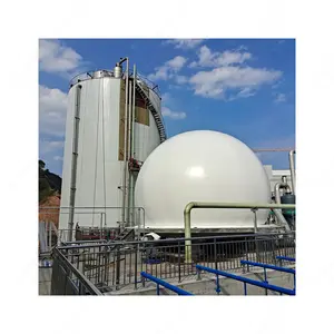 10 Kw 소형 Biogas 발전소 반응기 Biogas 혐기성 소화자/Fermenter/Producer Biogas 발전소