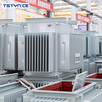 Transformateur de distribution immergé dans l'huile TSTYNICE 800 KVA 13200/7200V Dyn11 FR3 monophasé/triphasé 50/60Hz CE 440V