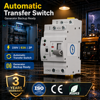 Saklar Transfer Otomatis EcoNewlink 230V 63A 2P Dual Power ATS Waktu Transfer Sejuta Detik DIN Rail untuk Cadangan Generator