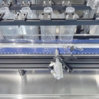 Remplisseuse automatique de nettoyage de bouteilles de liquide de type suivi 6 buses Machine de remplissage d'eau visqueuse personnalisée pour jus de tomate eau thé