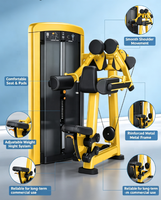 Machine de musculation pour levée latérale assise REYK, prix usine, en acier, pile de poids 75 kg, équipement de gym pour musculation