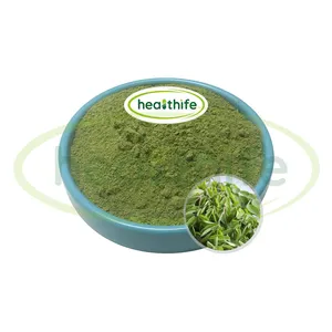 Healthife Moringa foglie estratto, polvere di foglie di Moringa organica