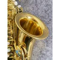 Wholesale/OEM/Factory Price Professional Performance BB/Eb Alto Saxophone Brass Flat B-key Wind Instruments Adult Beginners