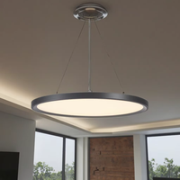 Tuya Smart Dimmable LED Panneau Pendentif Lumière 20W-100W Télécommande CE RoHS Certifié Aluminium Plafond Lampara