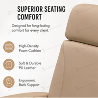 Fauteuil de pédicure électrique de luxe avec bassin spa sans tuyauterie, mobilier de salon de manucure, fauteuil de massage des pieds en cuir marron