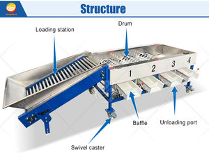 Máquina Clasificadora de Frutas ORME para Tomates y Cítricos, Máquina Clasificadora de Tamaño de Frutas para Ajo y Aceitunas Pequeñas en Venta - Product Image 2