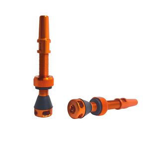 Valve <span class=keywords><strong>de</strong></span> pneu tubeless OEM pour vélo, différentes longueurs et couleurs au choix, route, gravel, VTT, Presta, outil <span class=keywords><strong>de</strong></span> retrait du noyau <span class=keywords><strong>de</strong></span> valve - Product Image 6