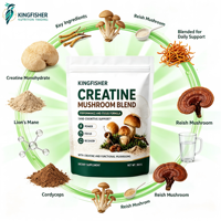 Poudre de créatine et de champignons à marque privée, sachet de 300g, 3000mg de créatine monohydrate, mélange de champignons pour la récupération et la croissance musculaire