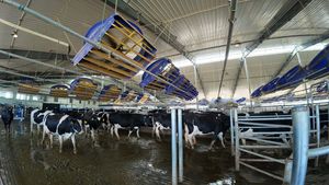 72'' Cattle Cow Barn Axial Flow Dairy Farm Equipment Industrial Commercial Ventilation Fan with EC PMSM Motor Cooling Fan - Product Image 2