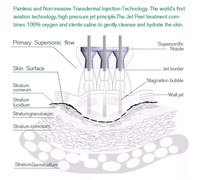 ZS Jet Peel Hydratant Spray Hydratant Visage Oxygène Jet D'eau Peel Machine Non-invasive Mésothérapie Injection Jet Peel Dispositif