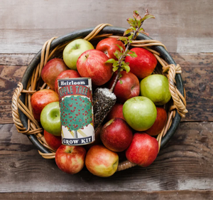 Kit de truie et de culture de fruits de <span class=keywords><strong>pommier</strong></span> <span class=keywords><strong>Pot</strong></span> de fleur de conception campagnarde moderne pour pépinière cuisine bureau maison jardin exclusif - Product Image 4