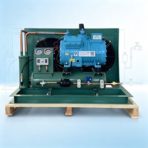 Unità di Condensazione a Doppia Ventola Raffreddata ad Aria, con Compressore Semi-Ermetico Integrato per Sistemi di Raffreddamento Industriale e Celle Frigorifere - Product Image 1