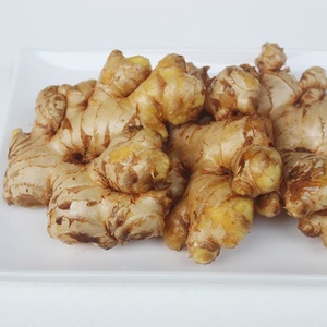 ขิงสดออร์แกนิกคุณภาพสูง ยี่ห้อหยงเจียง ได้รับการรับรองมาตรฐาน GAP ส่งตรงจากกวางสี สำหรับทำอาหาร - Product Image 1