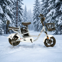 Vélo électrique 48V 12Ah avec batterie au plomb-acide, 350W, 16 pouces, vitesse maximale de 50 km/h, scooter à deux roues avec pédales et panier