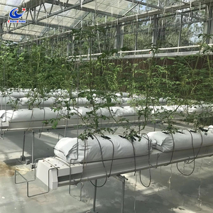 Hydroponic Strawberry Growing Gutter Bracket Type <strong>Plant</strong> Growing <strong>Trough</strong> <strong>for</strong> <strong>Garden</strong> Planting - Product Image 6
