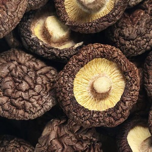เห็ดหอมอบแห้ง ไฟเบอร์สูง วัตถุดิบอาหารญี่ปุ่น ได้รับมาตรฐาน HACCP ขายส่ง - Product Image 2