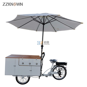Bicicleta Eléctrica con Pedaleo Asistido 2024, Parrillas para Barbacoa, Carritos de Comida Rápida, Remolque de Comida, Barbacoa, Comida Callejera, Bicicleta para Venta de Aperitivos, Dulces y Papas Fritas - Product Image 2