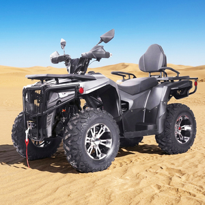 Buggy UTV de 300cc, 4 Tiempos, 4x2, Diésel, con Suspensión Independiente, para Montaña y Pistas Escénicas - Product Image 4