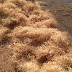 Fibre de coco de qualité exportée, fibre de coco forte et propre, parfaite pour les grossistes mondiaux et les acheteurs industriels - Product Image 1