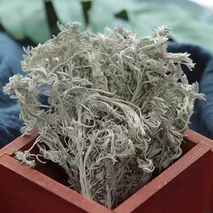 Teh Herbal Artemisia Capillaris Kering Alami Murni Daun Artemisia Capillaris Liar Grosir