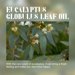 Olio essenziale di eucalipto OceAura, massaggio per la cura del corpo Push Back gli oli essenziali Spa idratano e rassodano la pelle - Product Image 5