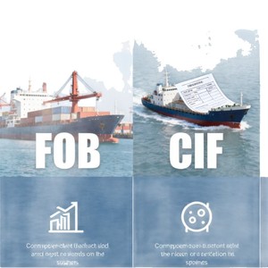 Service de logistique internationale Wd CIF DDP DDU avec dédouanement et taxes incluses pour l'Amérique du Nord et l'Europe - Product Image 3