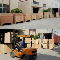 Équipement de marquage routier manuel 15 cm – Économique, utilisation par une seule personne, directement de l'usine pour les parkings