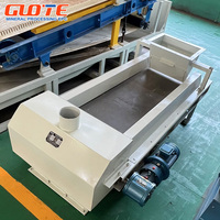 Système de pesage pour convoyeur Guote (acier au carbone, capacité 10t/h, moteur, roulement, pompe, haute rigidité, certifié CE ISO9001, pour minerais)