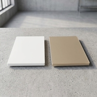 Panel de Cubierta para Tomacorriente de Pared BENDI de Vidrio Templado Tipo 146 con Puerto USB, Clasificación IP22 para Uso Residencial, Venta al Por Mayor