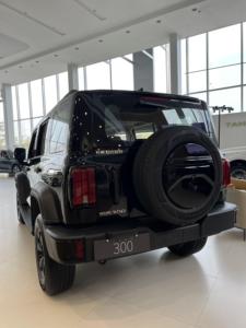 300ถัง véhicule Hi4-T <span class=keywords><strong>รถ</strong></span><span class=keywords><strong>มือ</strong></span><span class=keywords><strong>สอง</strong></span>300รุ่นใหม่พลังงานไฮบริดสะดวกสบายสุดๆ - Product Image 6