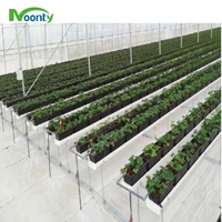 Système de culture hors-sol en PVC pour serres hydroponiques, idéal pour la production de fraises