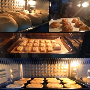 Bombillas Halógenas <span class=keywords><strong>G9</strong></span> G4 de 110v-250v 18W/20W/<span class=keywords><strong>25W</strong></span>/28W/33W/40W/42W/45W/60w - Product Image 6