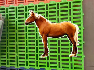 Suelo de listones para ganado de <span class=keywords><strong>caballos</strong></span> de 600x600mm - Product Image 2