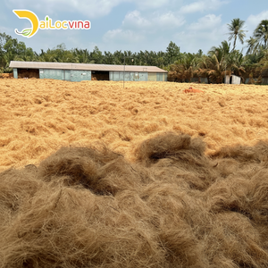 FIBRE DE NOIX DE COCO AVEC LE MEILLEURE QUALITÉ PRIX BON MARCHÉ POUR MATELAS FIBRE DE COIR DE DAI LOC VINA - Product Image 1