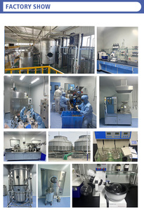 Polvere di Papaina Pura a Prezzo all'Ingrosso, Estratto di Papaya CAS 9001-73-4, 1.000.000u/g, Polvere Enzimatica di Papaina - Product Image 3