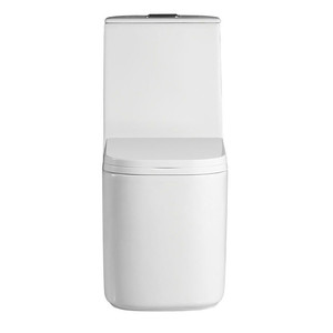 WC monobloc en céramique moderne avec siphon <span class=keywords><strong>double</strong></span> trappe, sanitaires de salle de bain - Product Image 3