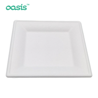 Assiettes jetables en bagasse écologiques, imperméables, résistantes à la graisse, sans danger pour les aliments, biodégradables, compatibles micro-ondes, emballage alimentaire pour le camping