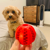 Distributeur de friandises avec logo personnalisé, jouet interactif pour chien, durable, sans BPA, en silicone de qualité alimentaire, balles à mâcher rebondissantes pour animaux de compagnie