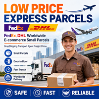 Agente de Transporte de Bajo Costo FedEx DHL Express a Nivel Mundial para Comercio Electrónico, Paquetes Pequeños, Dropshipping, Transitario desde China