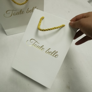 Échantillon Gratuit, Petite Quantité, Sac en Papier Personnalisé de Luxe avec Estampage à Chaud Doré, Sacs en Carton Colorés et Unis avec Votre Propre Logo - Product Image 5