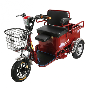 รถสามล้อไฟฟ้า3<span class=keywords><strong>ล้อ</strong></span>สำหรับผู้โดยสาร600W มีหลังคารับการรับรอง CE - Product Image 3