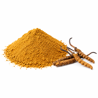 Extrait de Mycélium de Cordyceps Sinensis en Vrac (Paecilomyces Hepiali) – Meilleur Prix – Capsules et Poudre d'Extrait de Cordyceps