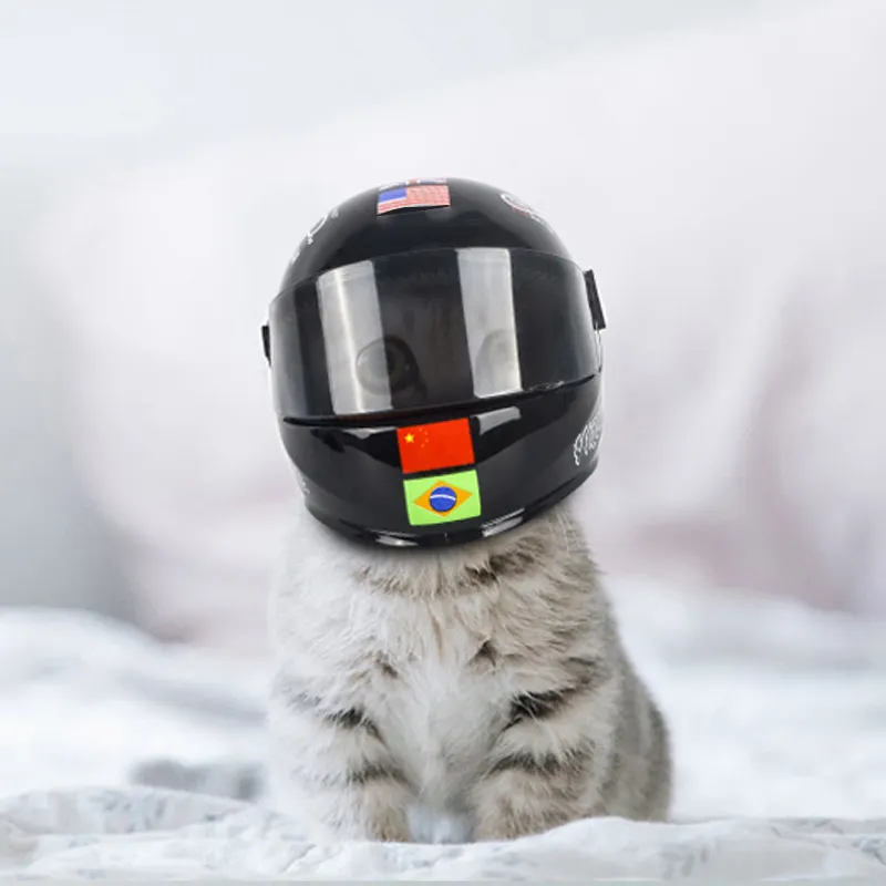 BEREIT ZUM VERSAND Mini-Helm Modell Niedlicher kleiner Miniatur-Haustiers chutz katzen hut ABC Full Face Motorrad helm