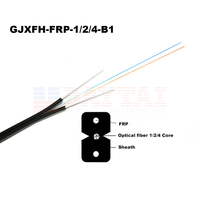 Pengalaman Terpercaya 17 Tahun Menyediakan Kabel Fiber Optik GJXFH FRP 1,2,4 Core FTTH Drop Cable untuk Kebutuhan Sumber Daya Stasiun Lengkap
