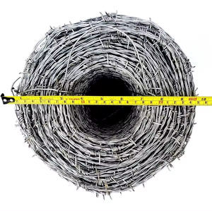 Rollo de Alambre de Púas Galvanizado de Alta Calidad, Rollo de Alambre de Púas de Acero Inoxidable, Cerca de Alambre de Púas Anti-Escalada - Product Image 2