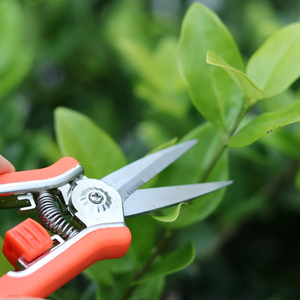 Tijeras de Podar Mini de 6 Pulgadas, Acero Inoxidable, Hoja Puntiaguda con Resorte y Bloqueo de Seguridad para Uso Floral y de Jardinería - Product Image 6