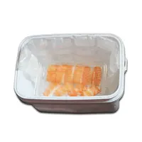 खाद्य उपयोग मिनी एसएपी सामग्री रुक बर्फ घन के लिए टिकाऊ आइस पैक कूलर खाद्य