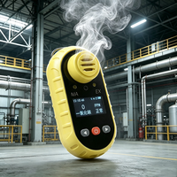 Détecteur de gaz HCN portable antidéflagrant pour l'électrodéposition, l'exploitation minière de l'or, les usines chimiques et les entrepôts de produits chimiques dangereux