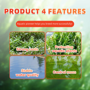 Technologie d'énergie quantique, <span class=keywords><strong>engrais</strong></span> organique, active la régénération des plantes aquatiques, répare les blessures des plantes aquatiques, poudre - Product Image 5