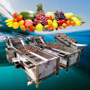 High Output Automatic <b>Vegetables</b> and <b>Fruits</b> Washing <b>Machine</b> Brush Roller <b>Vegetable</b> Washing <b>Machine</b> Made in China - Product Image 1